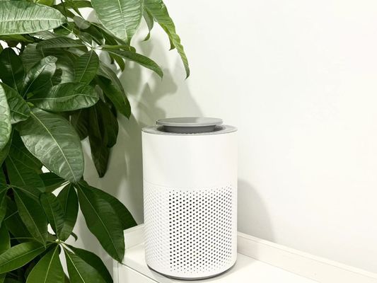 HEPAフィルターと臭いを消す4時間タイマー付きのコンパクトHC10産業用空気清浄機