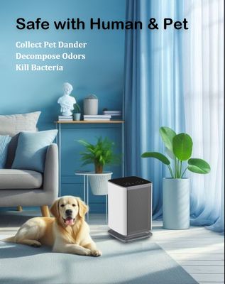 4.2kg 空気清浄殺菌機 DC12V 電圧、FCC認証付き