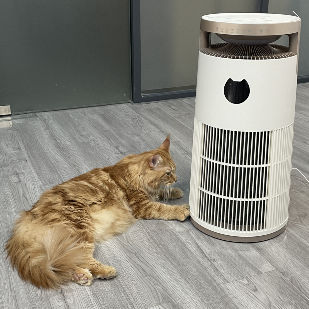 VDETTE HP01オゾンHEPA空気浄化器 タイムレッサー 220V ホワイト