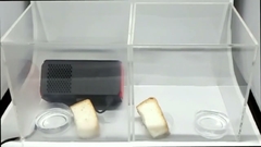 騒音27dB 清潔な空気を浄化する自動車の新鮮空気浄化器